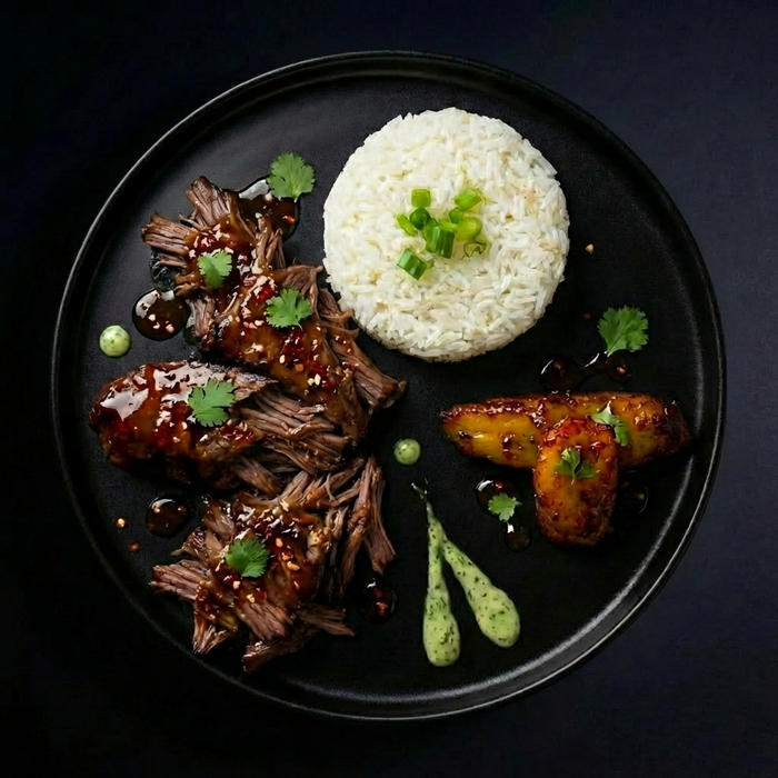 Plated dish with braised meat, white rice, and vegetables on a dark background